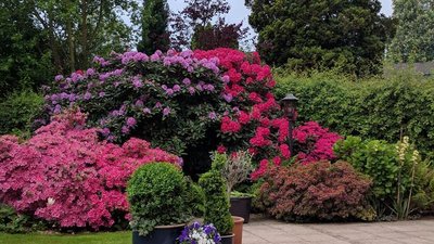 GehZeit: Besuch und Führung im Botanischen Garten Rombergpark